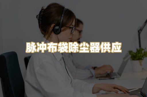 脉冲布袋除尘器供应